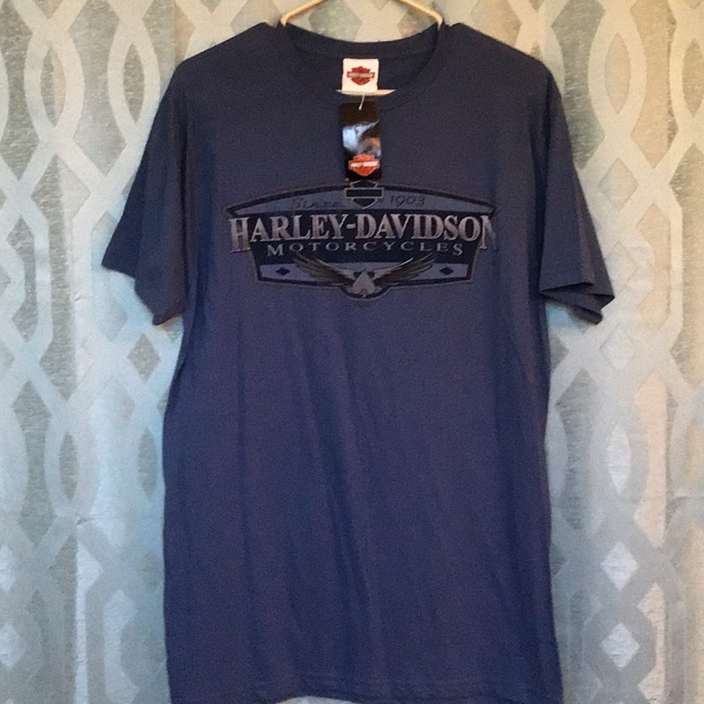 Harley Davidson men’s blue short sleeve L tee